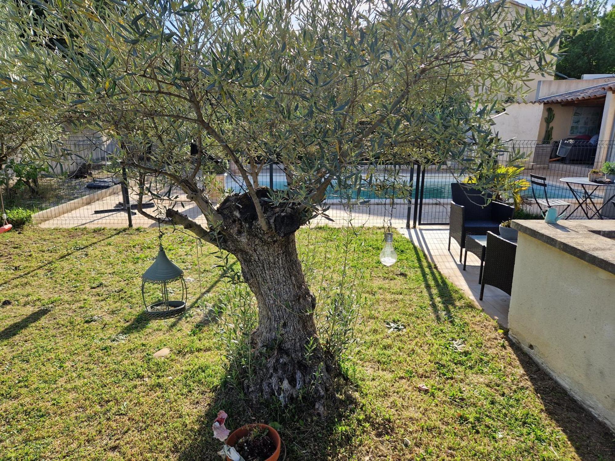 Le Cabanon De Lea Apartment Tavel Exterior photo